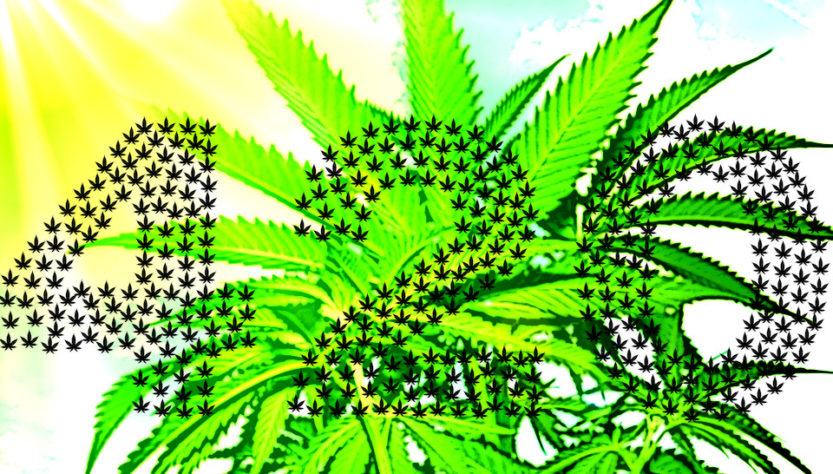 420 Symbole de la journée mondial du cannabis