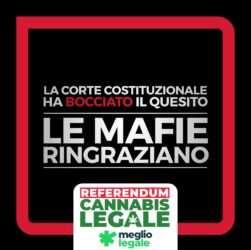 bannière du rejet de la légalisation du Cannabis en Italie
