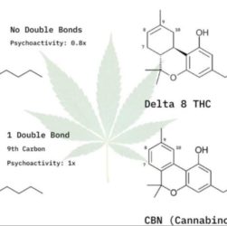 formule hhc hexahydrocannabinol du cannabis