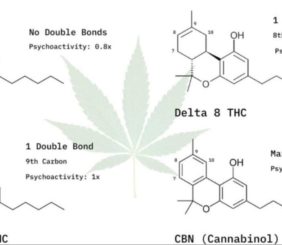 formule hhc hexahydrocannabinol du cannabis